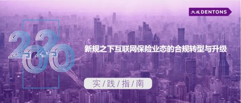新規(guī)之下互聯(lián)網(wǎng)保險(xiǎn)業(yè)態(tài)的合規(guī)轉(zhuǎn)型與升級丨大成 實(shí)踐指南 技術(shù)開發(fā)